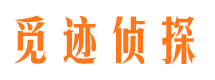 临漳外遇调查取证